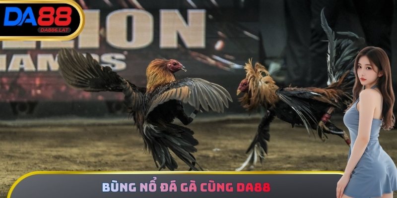 Bùng nổ đá gà cùng DA88